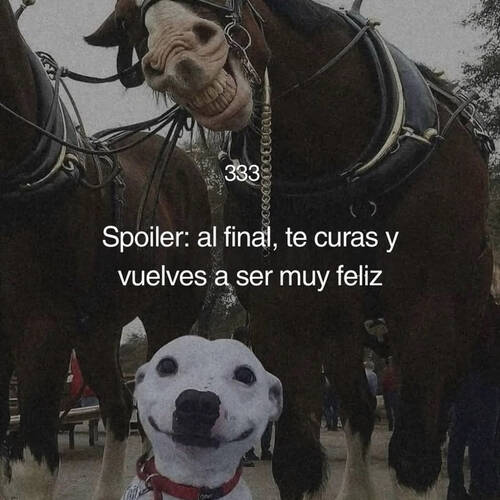 Foto extra 1