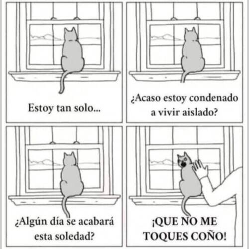 Foto extra 1