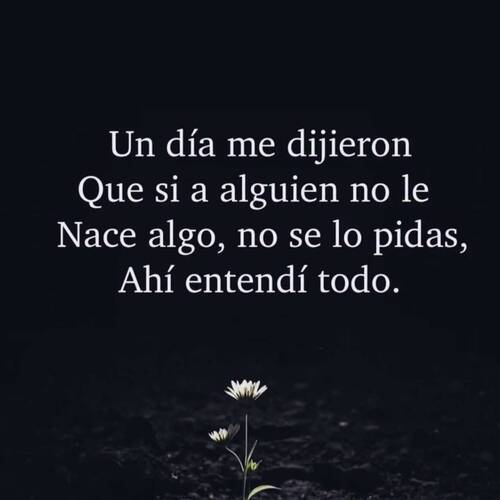 Foto extra 1
