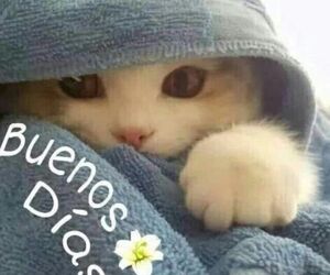Jose manuel pe