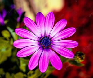 Sandra_mm_3@Ho