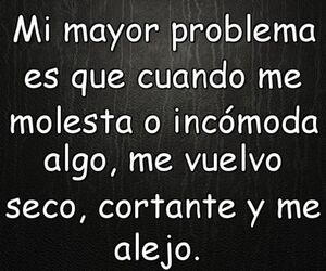 Nieves Narros 