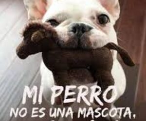 Rocio
