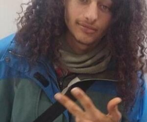 Moises