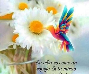 begoï¿½a