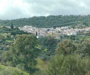 Sevillana
