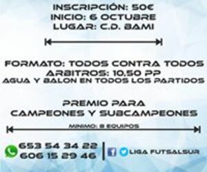 Liga Futsalsur