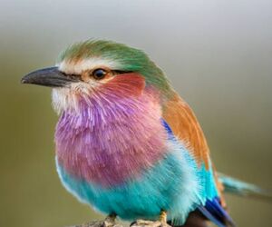 2122