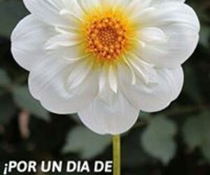 Mari Lopez Esp