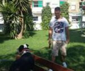 Jcr CR