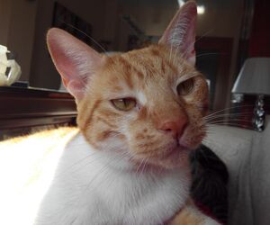 MarinaCat