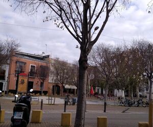 Rocio