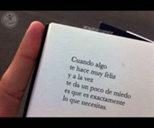 Amparo Reyes R