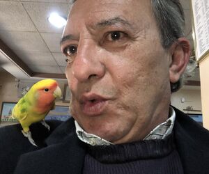 Manuel