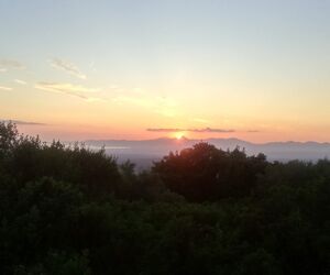 Alba