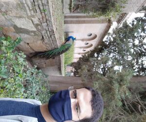 youssef