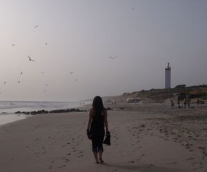 Sevillanita31