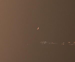 Ele