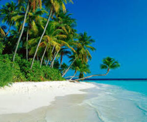 playa
