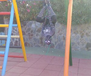Spiderman