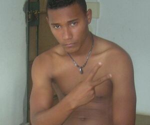 Larides
