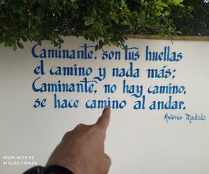 Estoicismo