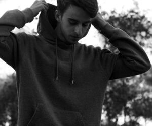 david