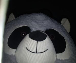 Rody