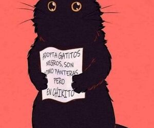 JUAN ANTONIO