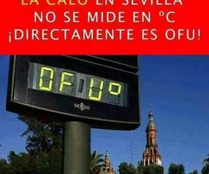 Jose Antonio M