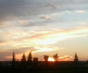 Josema