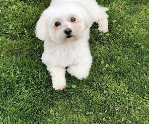 Ben