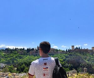 Feli