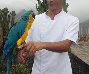 Calixto