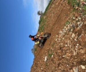 guilles