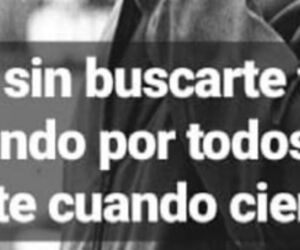 Quijote_ysanch