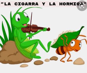 selva