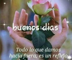 Nideas