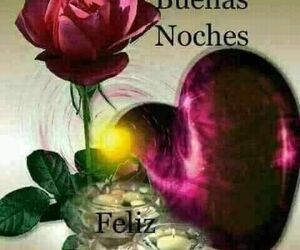 Juan jose