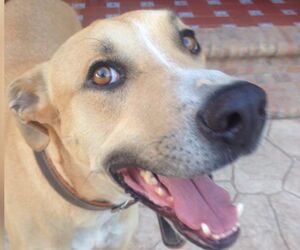 Jorge