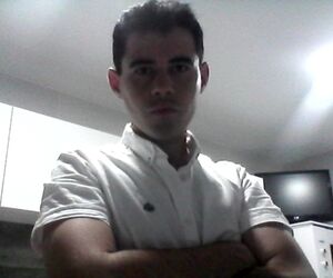 david