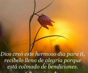 Diego Fdez
