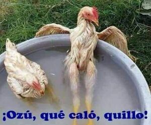 Amistad ;)