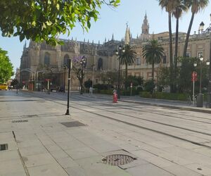 Toñi