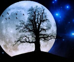 iremoon