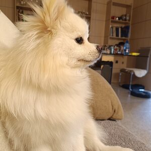 Luisa