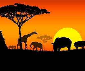 Africa