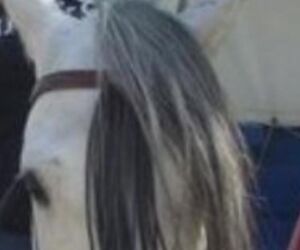 PERLA