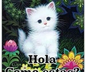 ?ngeles