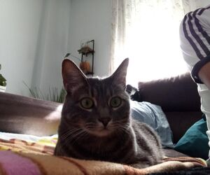 antonio